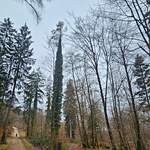 Prenez le sentier partant sur la gauche