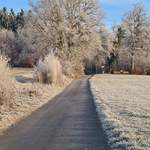 Route menant au bois de Bouley