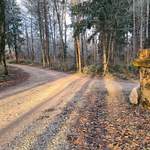 Prenez à gauche en suivant le paneau cabane