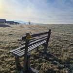 Banc à la sortie de la forêt