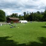 Place d’entraînement pour chiens près de Lurtigen