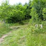 Sentier botanique et forestier du Gibloux (SBFG)