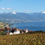 Rivaz + Vevey + Montreux