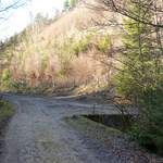 Forêt de Berley : pont sur le ruisseau des Chaudeires (poste 2)