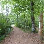 Forêt de Moncor, superbe sentier