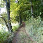 Sentier en lisière d’un petit bois entre Avry et Gumefens